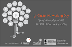 rejoin gi cluster networking day foto